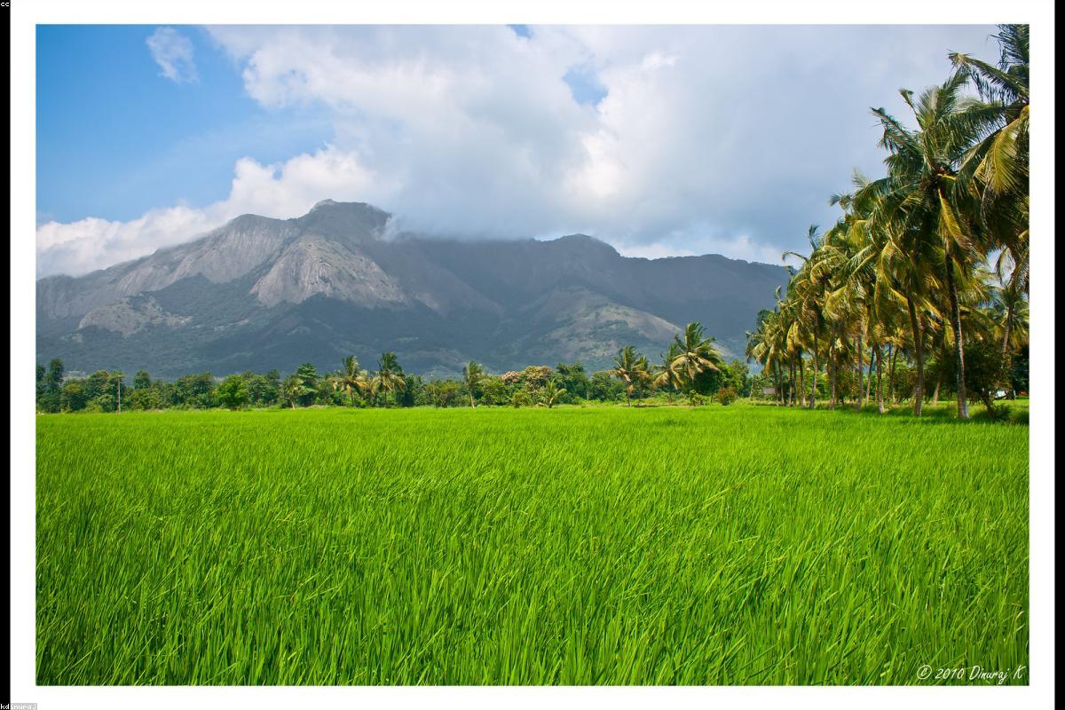 Sustainable sourcing and logistics