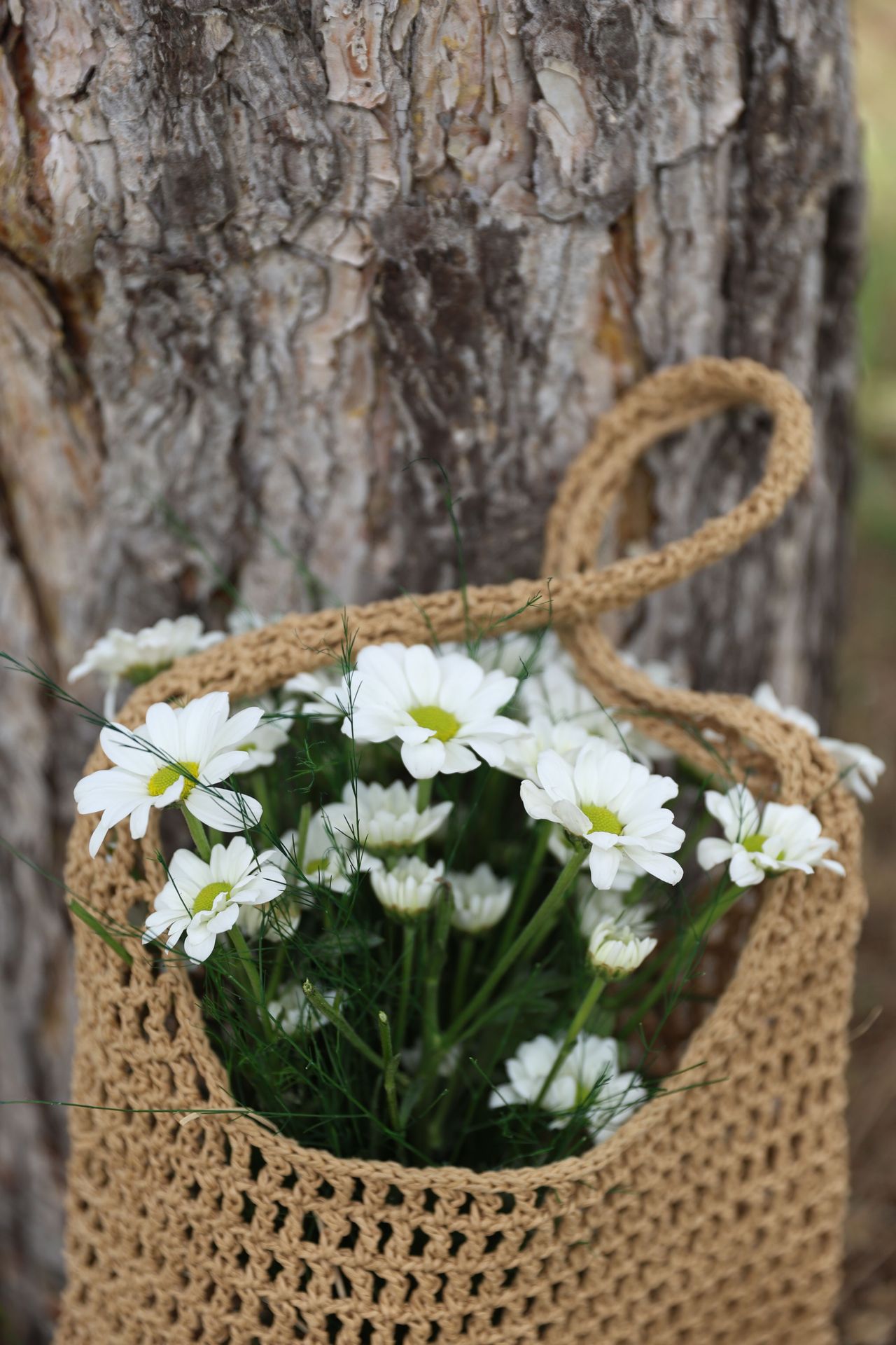 Jute Bags